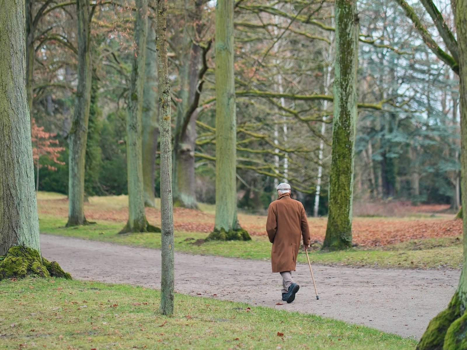 Personne âgée marchant avec une canne dans un parc en automne