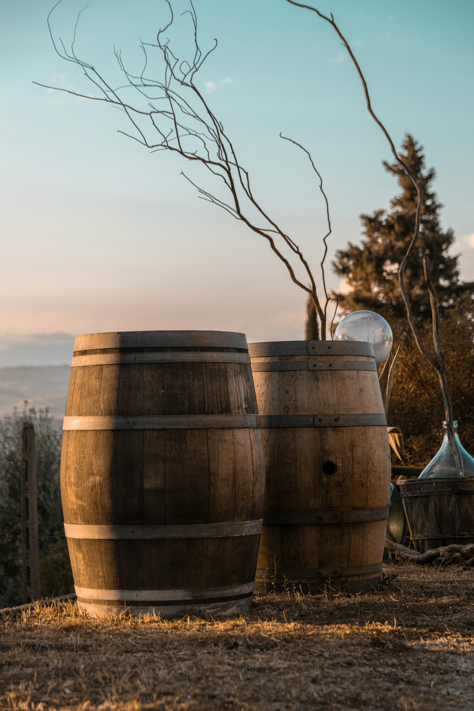 Tonneaux en bois dans un jardin au coucher du soleil : contenants de récupération pour un bain froid DIY